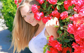 Улыбающаяся девушка блондинка рядом с кустом красных роз