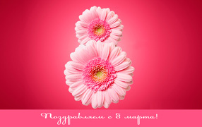 Восьмерка из гербер на 8 Марта