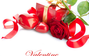 Красная роза с подарком и сердечками на белом фоне ко Дню всех влюбленных 14 февраля