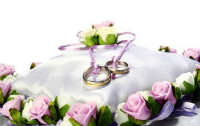 Two gold wedding rings on a cushion for a wedding
