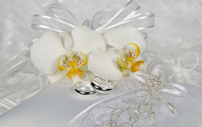 Two wedding rings with delicate white orchid flowers