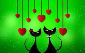 Enamoured black cats