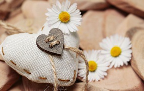 Heart made of cloth with white camomile flowers