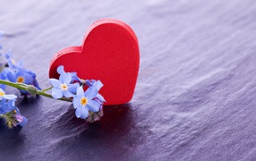 Красное сердце и нежные голубые цветы  