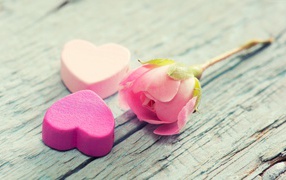 Two pink hearts and a pink rose lie on a wooden surface