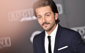 Молодой мексиканский актер  Диего Луна