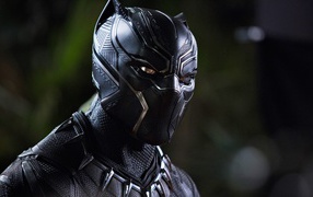 Главный персонаж нового фантастического фильма Черная пантера, 2018