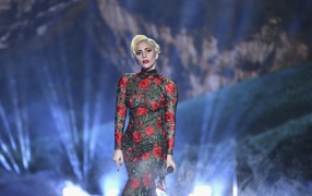 Популярная певица Леди Гага в красивом платье на сцене