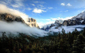 Белый туман покрыл вершины деревьев на фоне гор