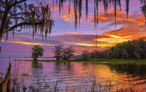 Красивое небо на закате над лесным озером