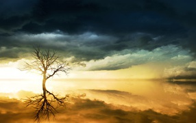 Черные облака в небе и дерево отражаются в воде