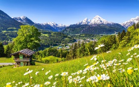 Зеленые цветущие альпийские луга на фоне заснеженных гор, Германия