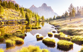 Горы трава и деревья отражаются в лесном озере