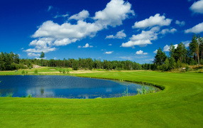 Пруд в парке у зеленого газона на фоне голубого неба