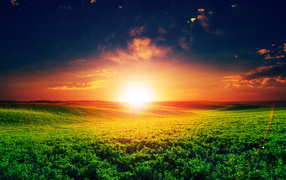 Восход яркого летнего солнца над полем