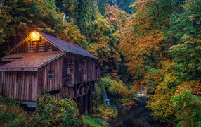 Водяная мельница в осеннем лесу
