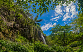 Водопад в тропическом лесу на фоне голубого неба 