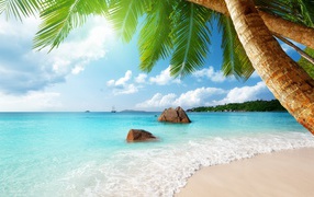 Голубая вода океана омывает белый песок на тропическом пляже