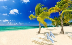 Лежаки и пальмы у моря на пляже с белым песком