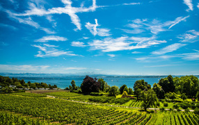 Красивые белые облака в небе над полем и озером