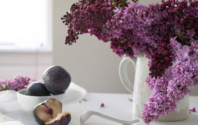 Красивый букет сирени в белой вазе на столе со сливами