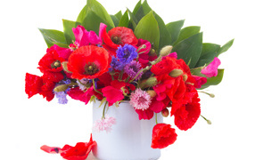 Букет полевых васильков и красных маков в вазе на белом фоне