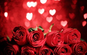 Букет крупных красных роз на фоне сердечек