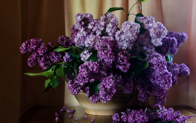 Букет сирени в вазе на столе