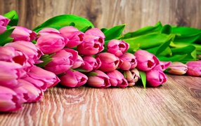 A bouquet of pink tulips lies on a wooden surface