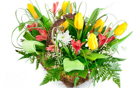 Букет желтых тюльпанов и красивых цветов альстрёмерия на белом фоне