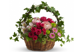 Basket with fresh flowers on a white background