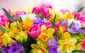 Beautiful big bouquet of spring flowers