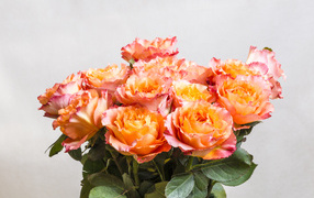 Красивый букет оранжевых роз на сером фоне