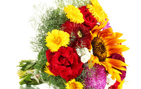 Beautiful bouquet of roses, dahlias and sunflowers on a white background