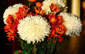 Beautiful bouquet of white and orange chrysanthemums
