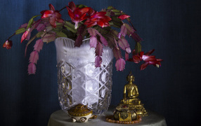 Цветущий комнатный цветок Шлюмбергера со статуэткой Будда на столе