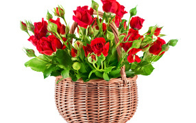 Букет красивых красных роз в корзине на белом фоне 
