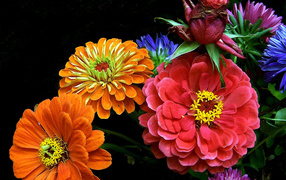 Bouquet of bright summer flowers