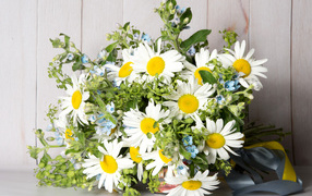 Букет полевых ромашек перевязанный лентой