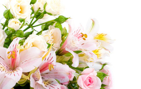 Букет из розовых и белых роз и цветов альстрёмерия на белом фоне