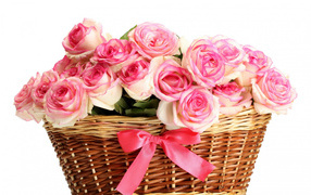 Bouquet of pink roses in a basket on a white background