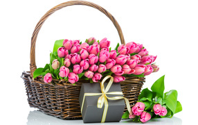 Bouquet of pink tulips in a basket with a gift on a white background