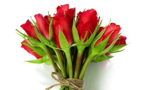 Букет красных роз перевязан веревкой на белом фоне