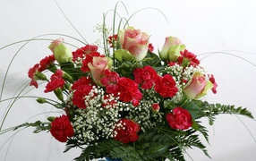 Букет роз с гвоздиками и зеленью на белом фоне