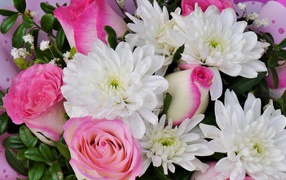 Букет белых хризантем с розовыми розами