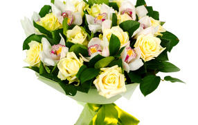 Букет белых роз и белых орхидей на белом фоне