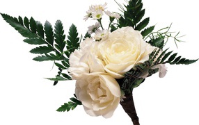 Букет из белых роз с ромашками и большими зелеными листьями на белом фоне
