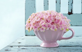 Нежные розовые цветы в белой вазе