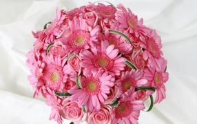 Delicate pink wedding bouquet of gerberas