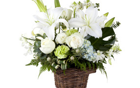 Цветы розы, гвоздики, лилии, хризантемы в корзинке на белом фоне